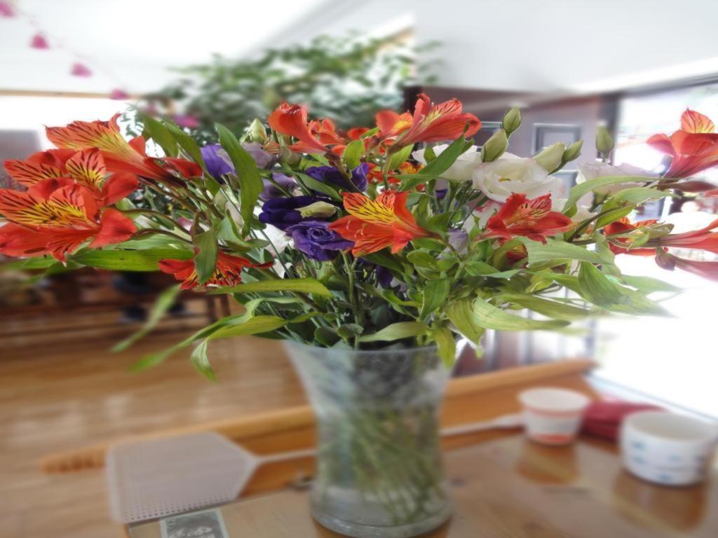 Dali Four Season Flower Inn ต้าหลี่ ภายนอก รูปภาพ